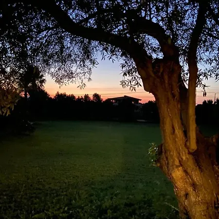 Sarda Villa Assemini